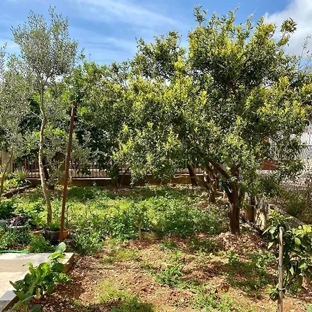 Lilys Paradise Feriehus *