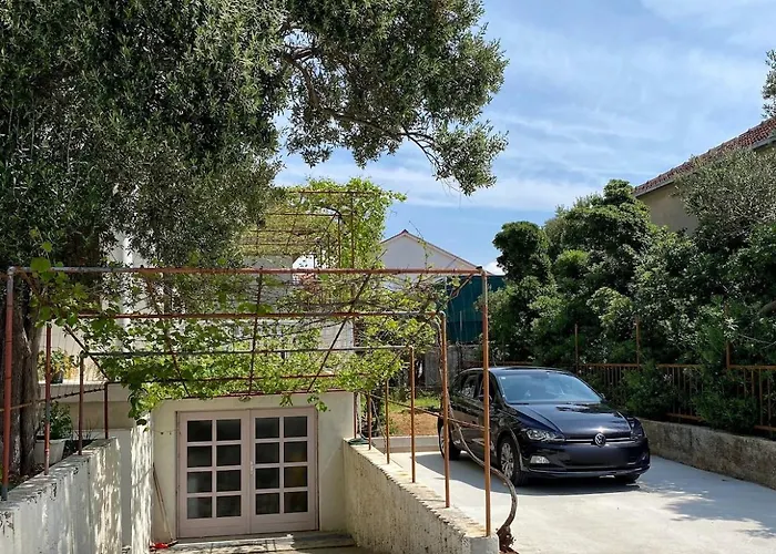 Lilys Paradise אורביץ