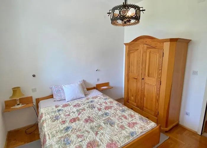 Lilys Paradise * אורביץ