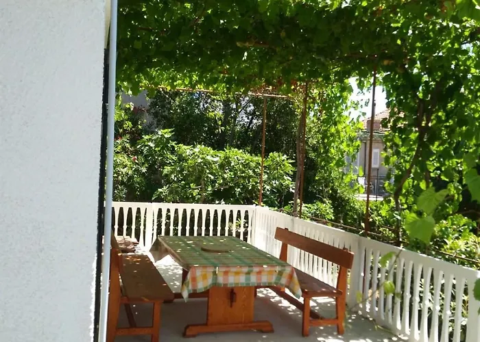 Lilys Paradise אורביץ