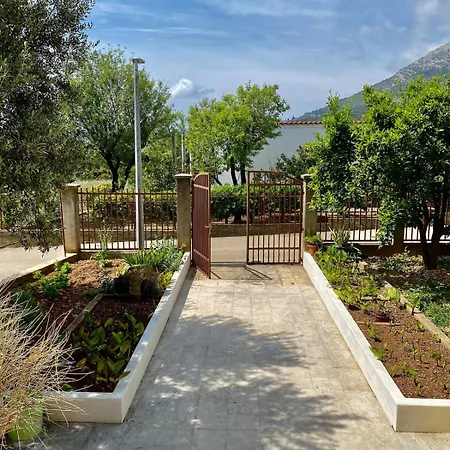 Tatil Evi Lilys Paradise *