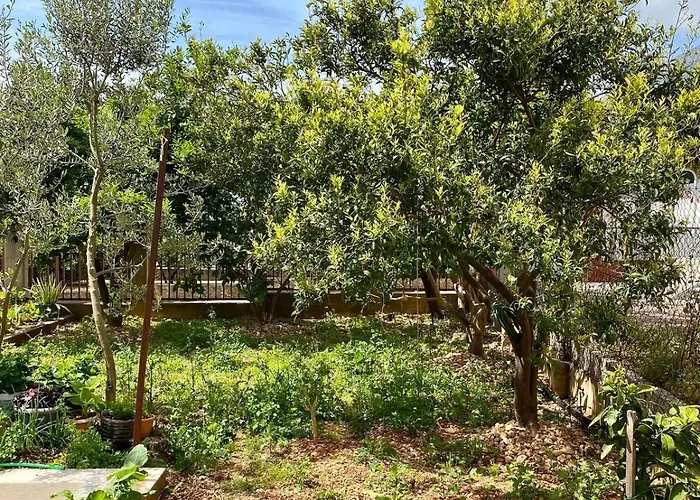 Lilys Paradise Σπίτι διακοπών *